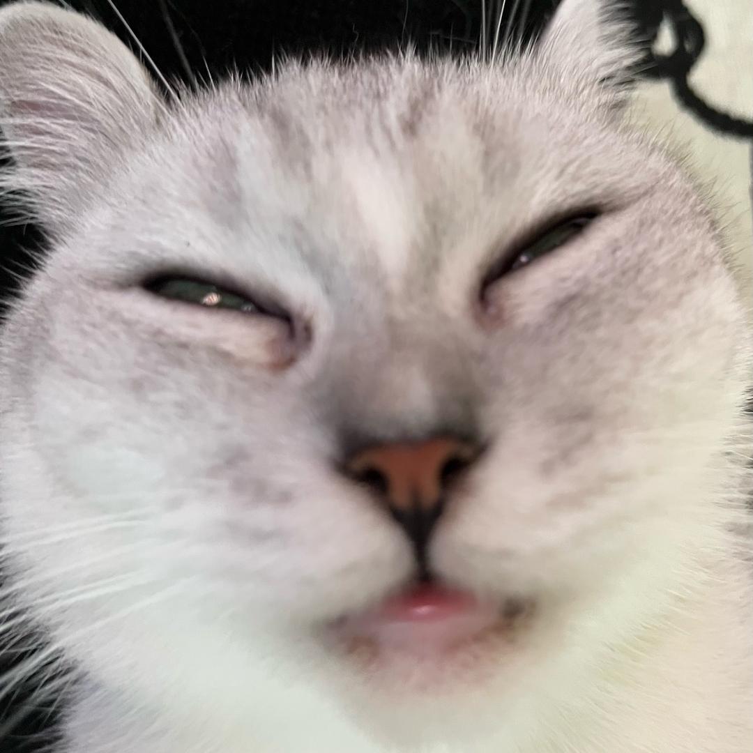 叽叽大人的数码暴龙究极狂热粉