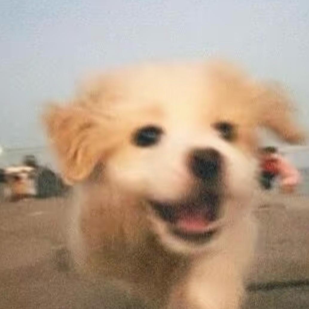 二进制