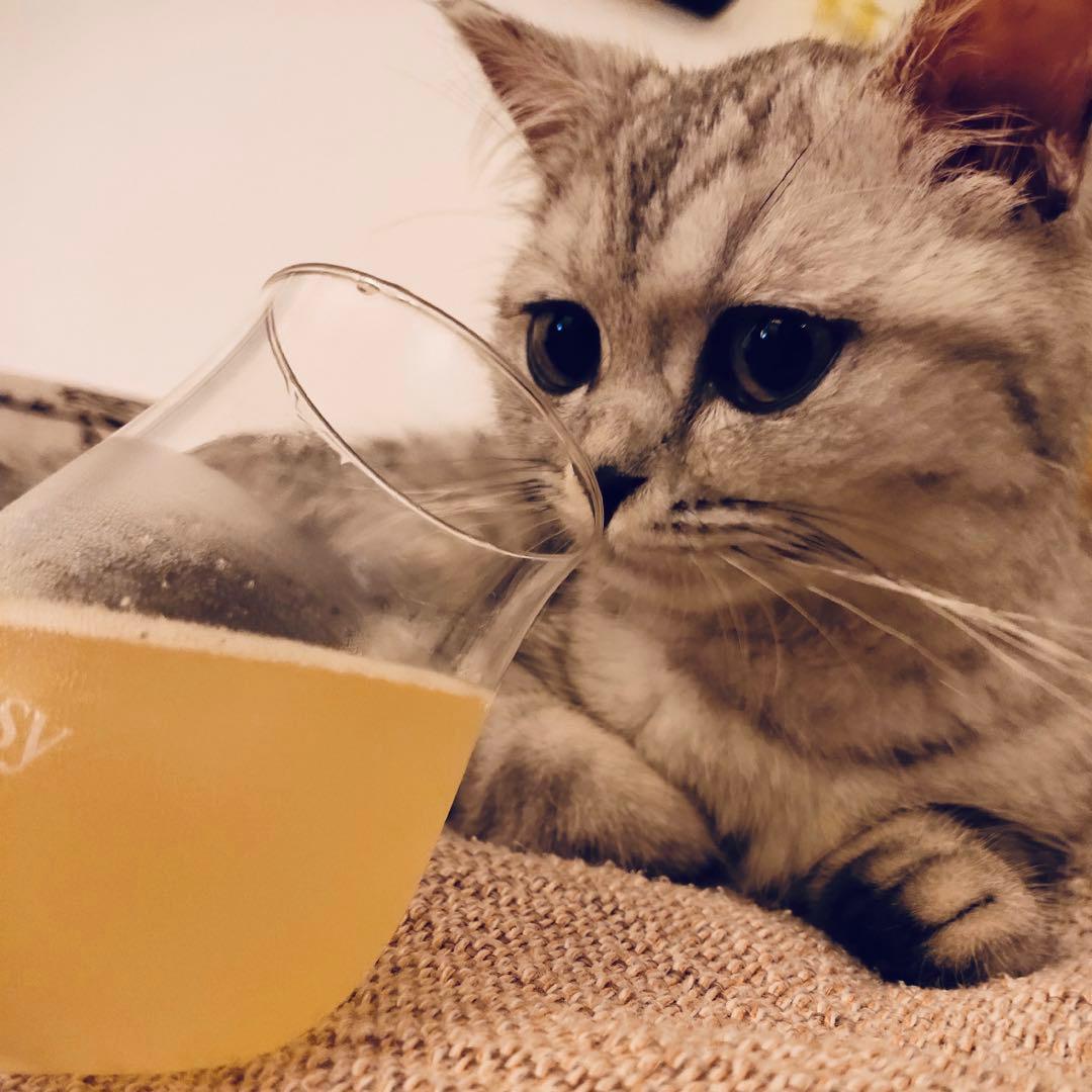 拾壹黄金周