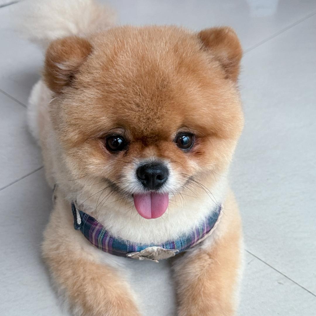 潆溪鲜鱼批发（可配送）