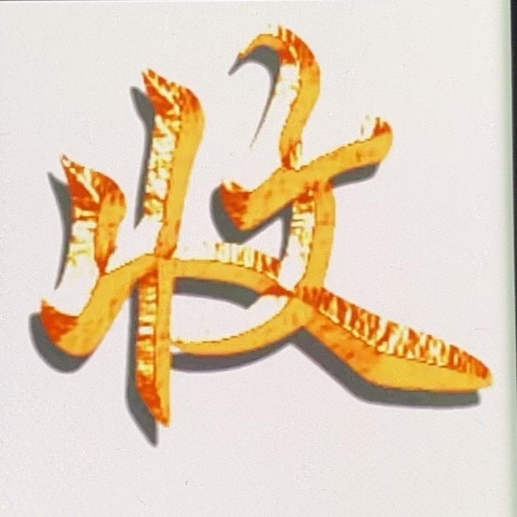 舞阳塬黑百货精选