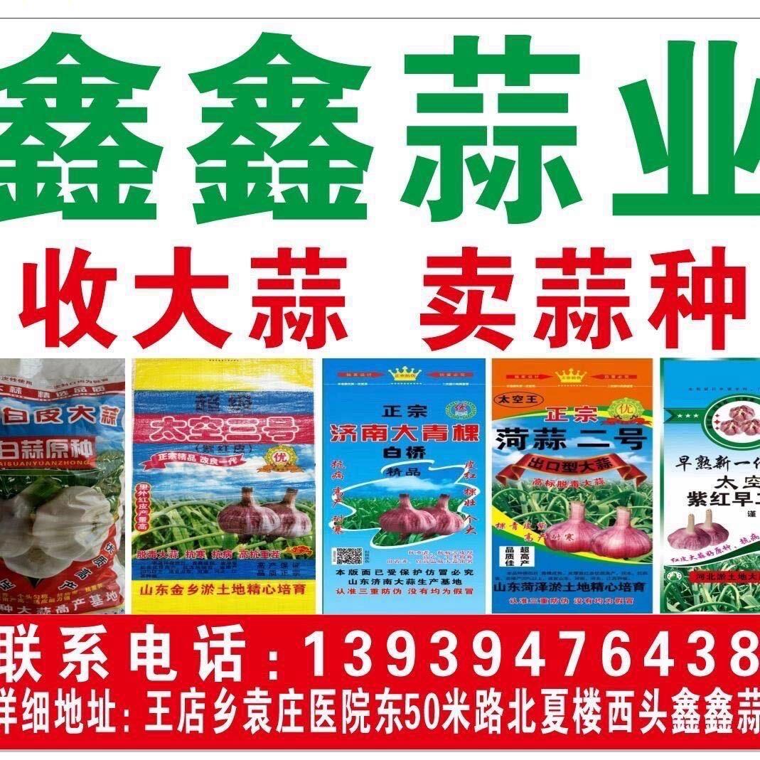 夏力争鑫鑫蒜业（蒜种专供）