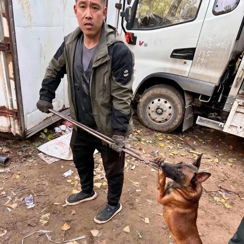 AAAA专业套狗马师傅（全国可套）