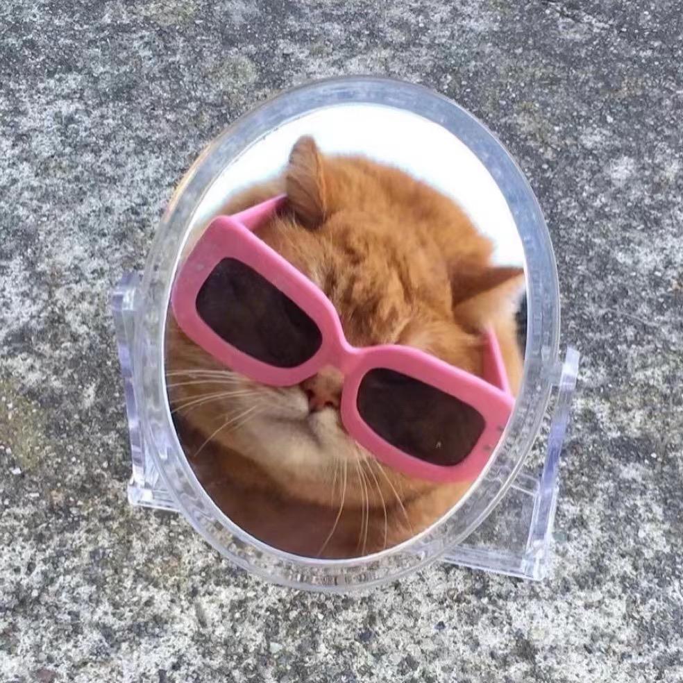 图图永动机(战损版)🤕