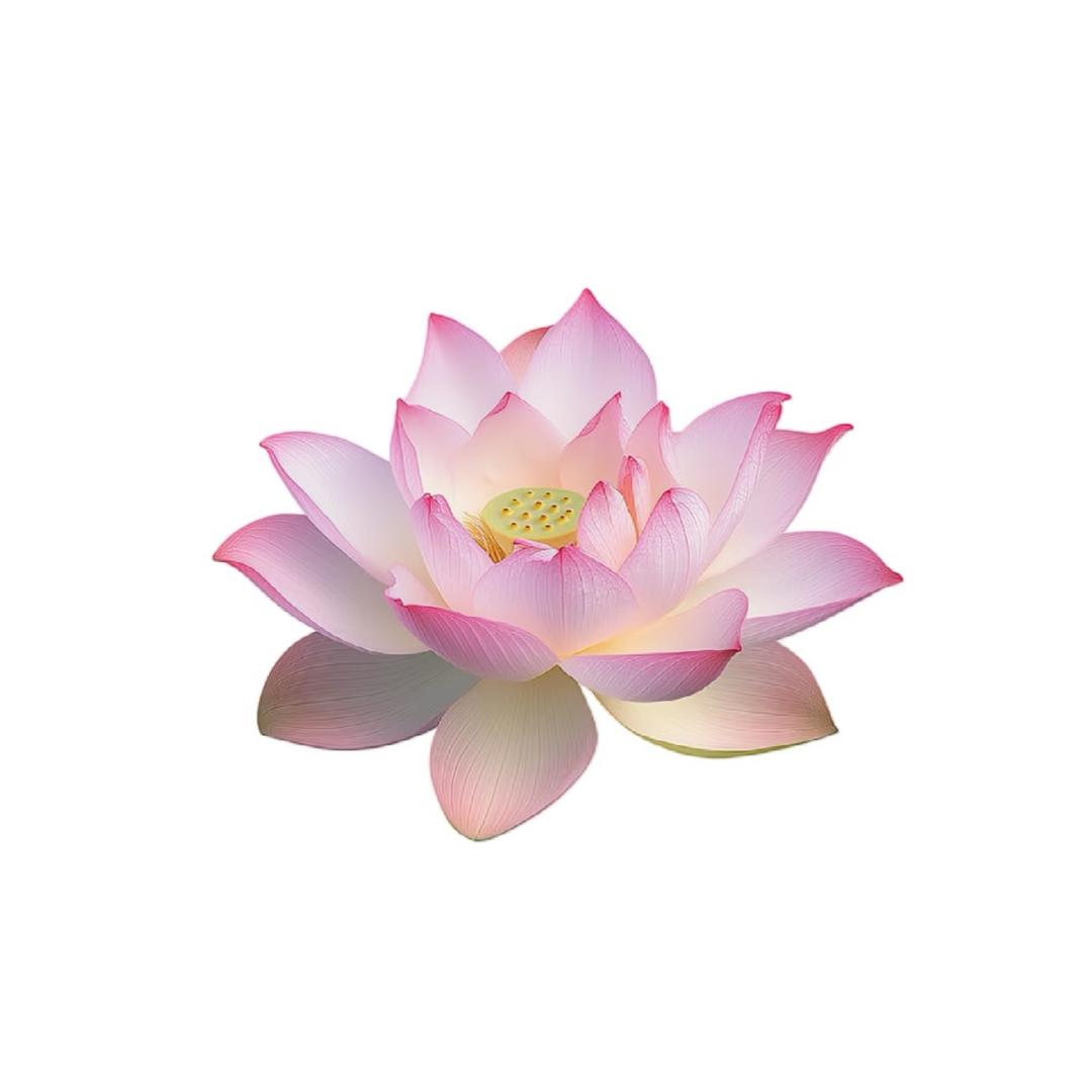 Xixi