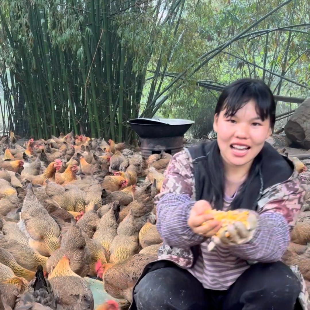 小敏清远鸡