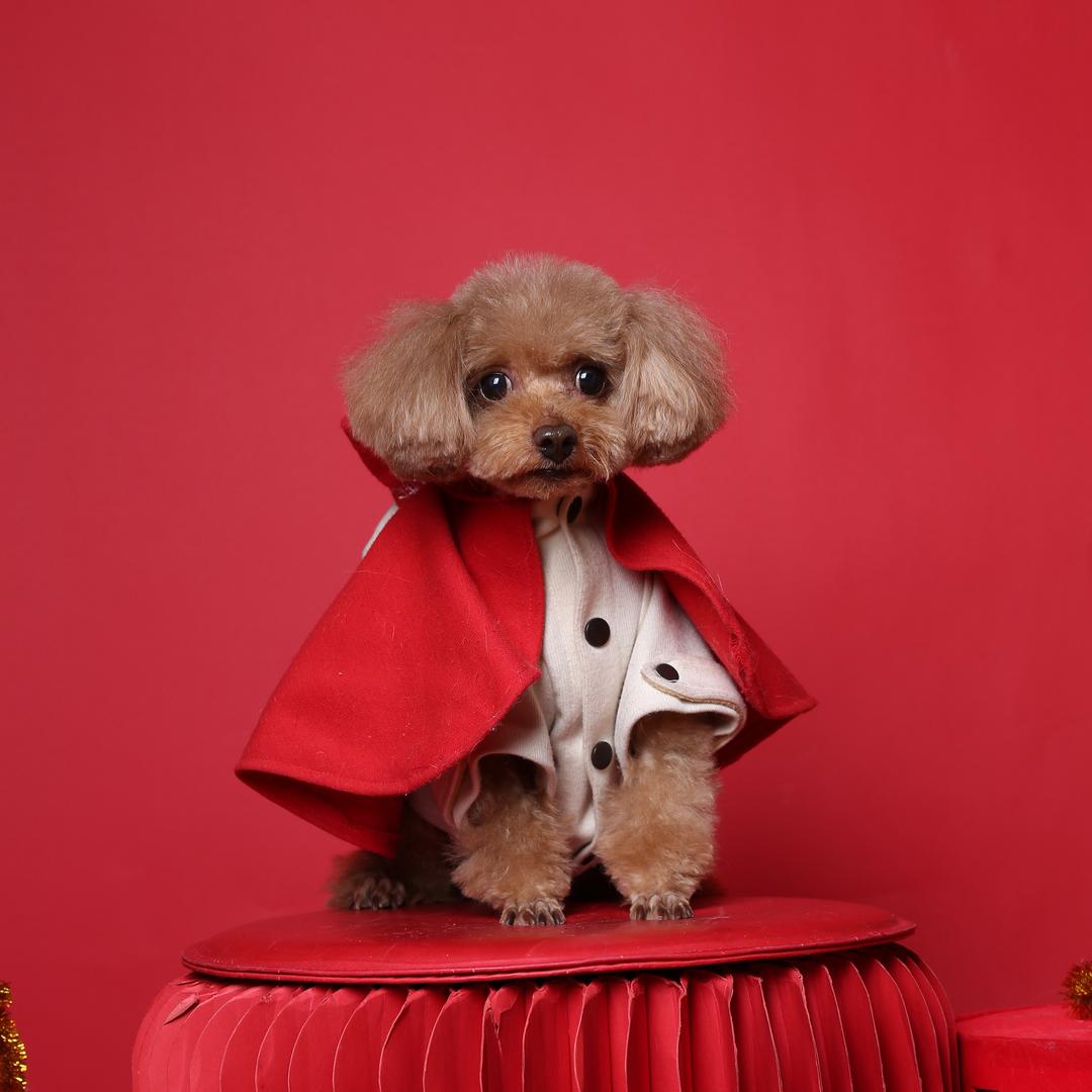 万境由心生🐶（大哥不让我刷）