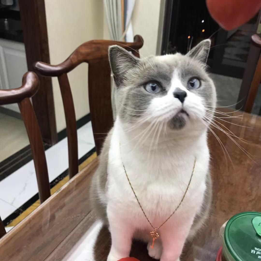 开心就有范G丫