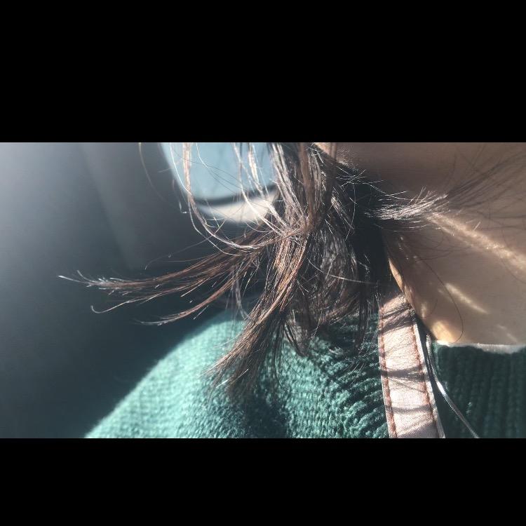 是三文鱼阿