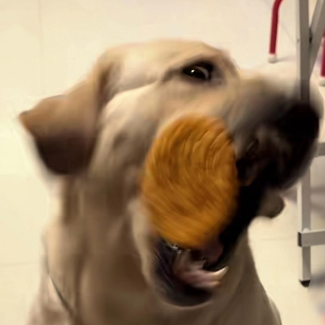 打小就坏