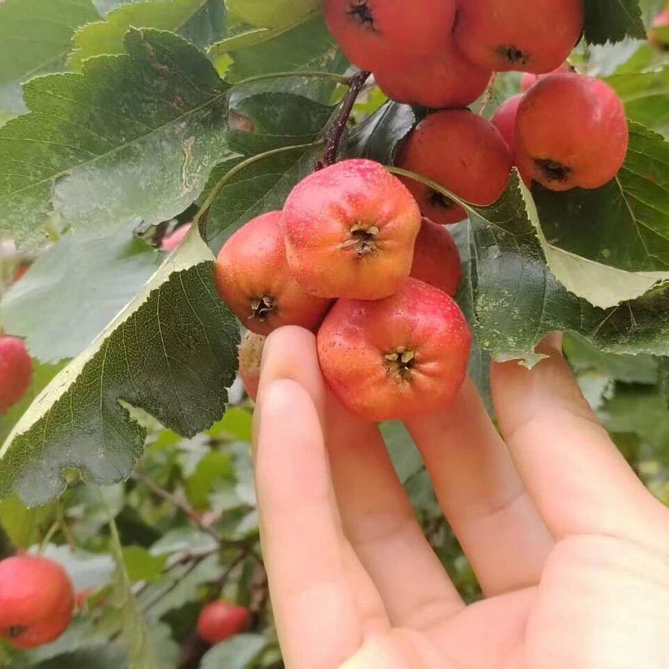 时间煮雨🐶🐶