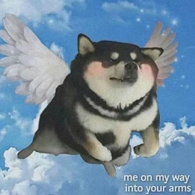 可爱的家伙