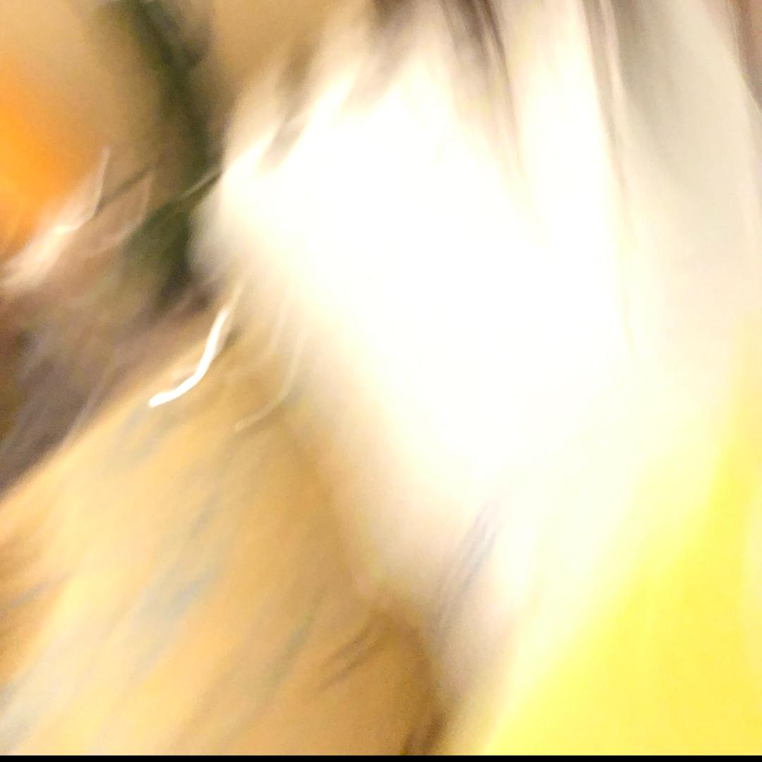 111111ppppp