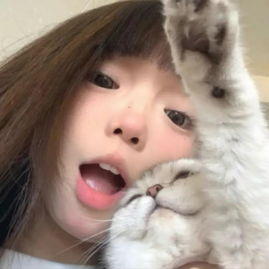 懒觉小猫