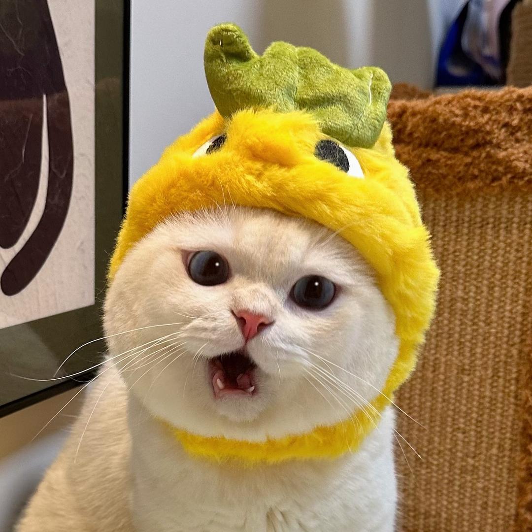 鸡腿馒头