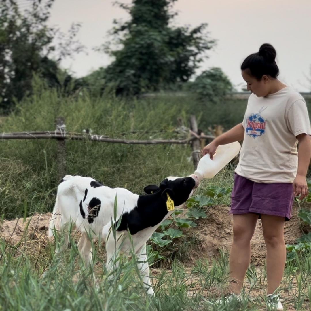 健源牧业·赵梦茹