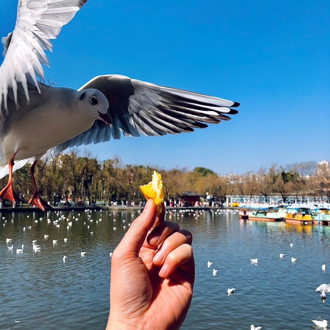 一笑江湖