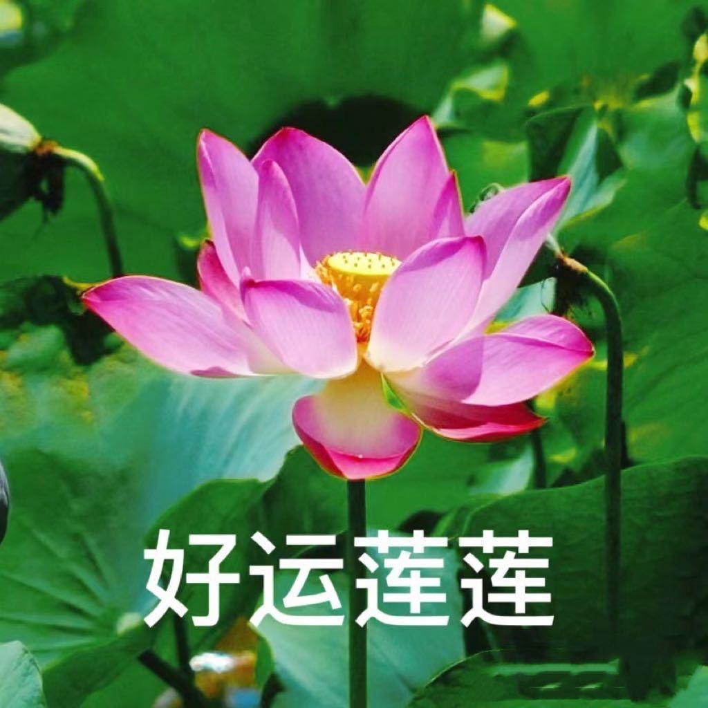 纯川