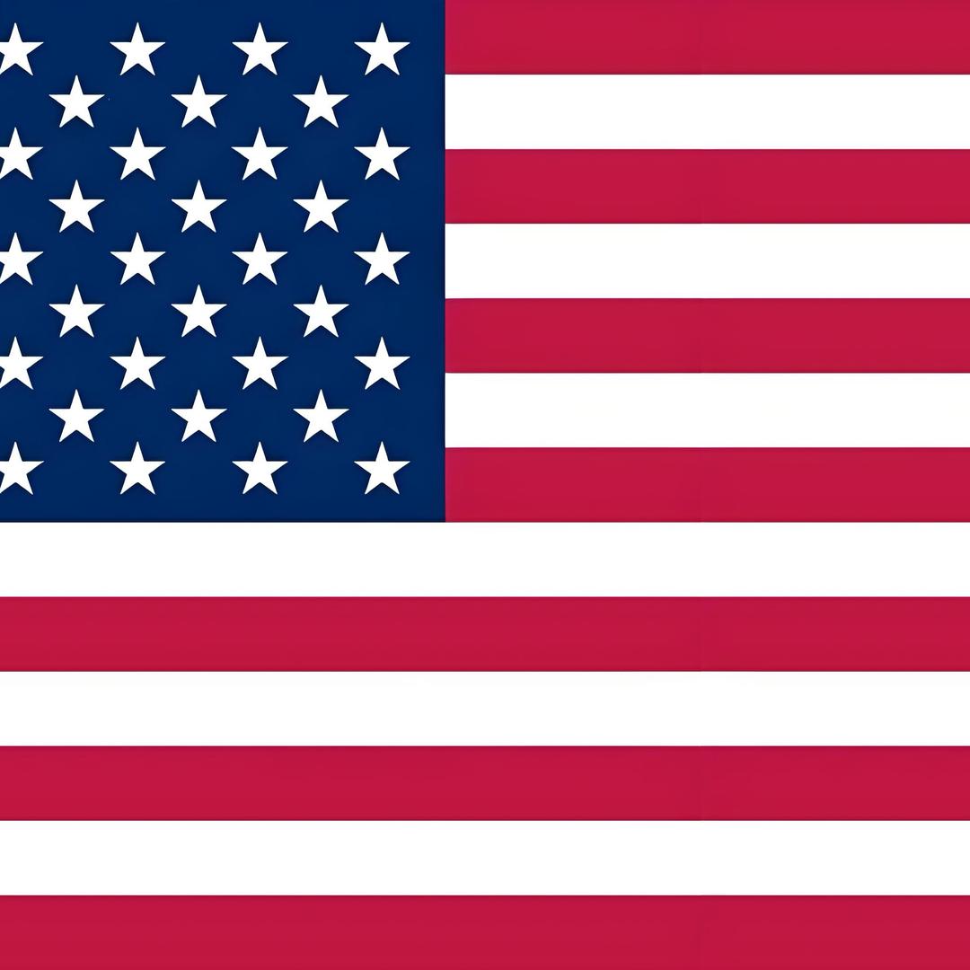 🇺🇸精神美国病人🇺🇸