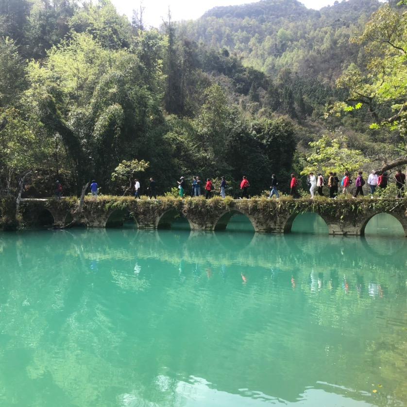 淡泊明志