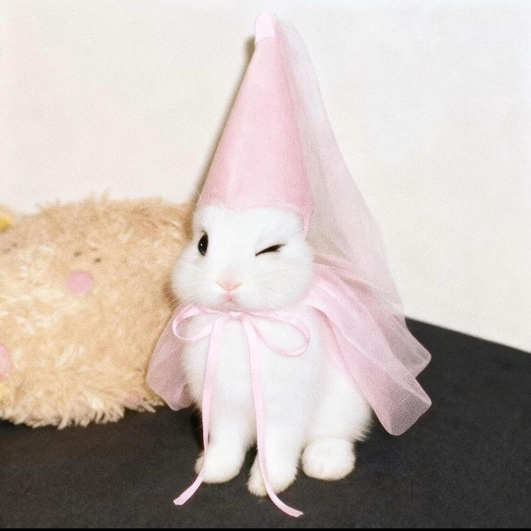 溪溪