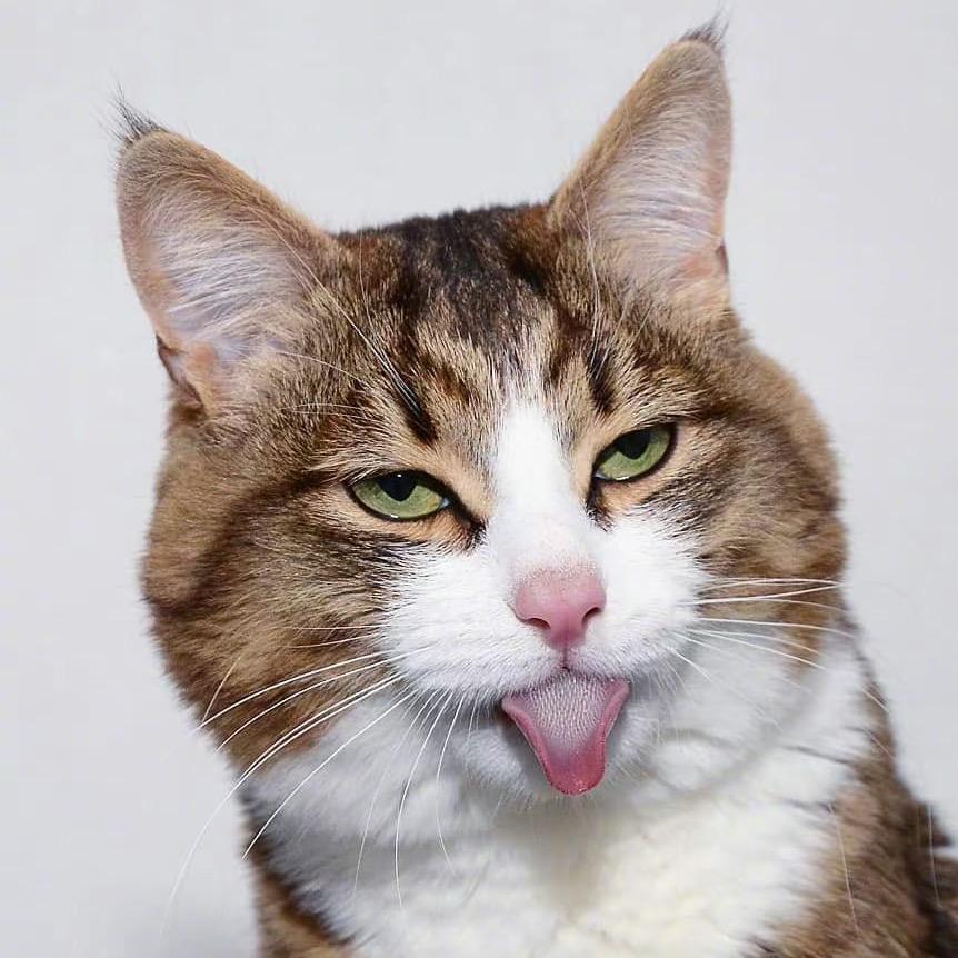 是夕姑娘呀~🌸🌸