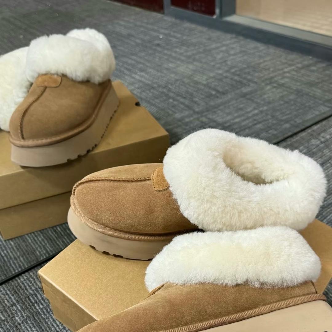 咩咩🐑