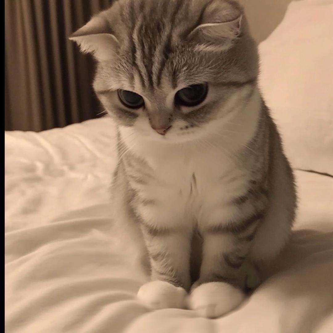 廾