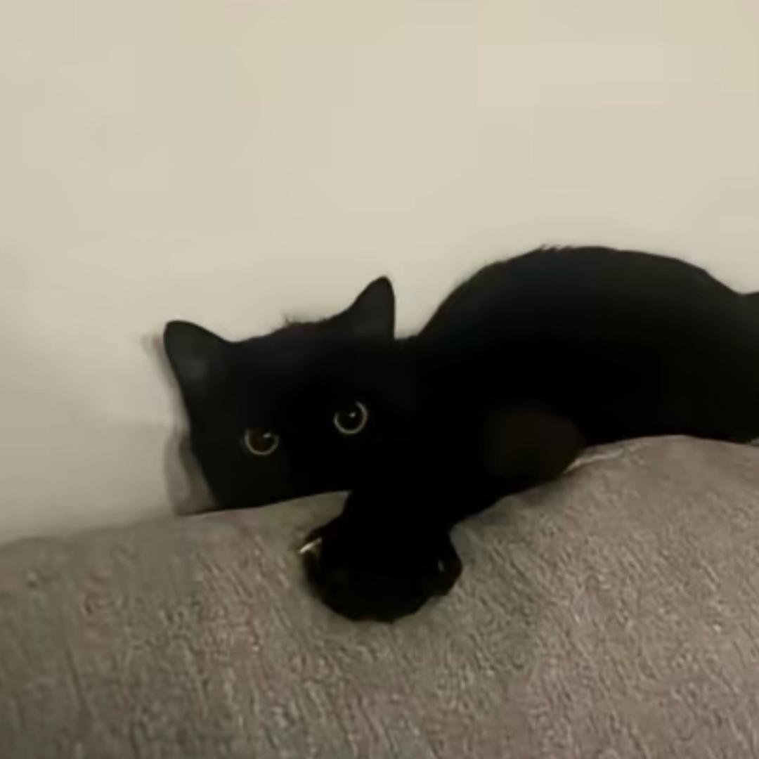 -^