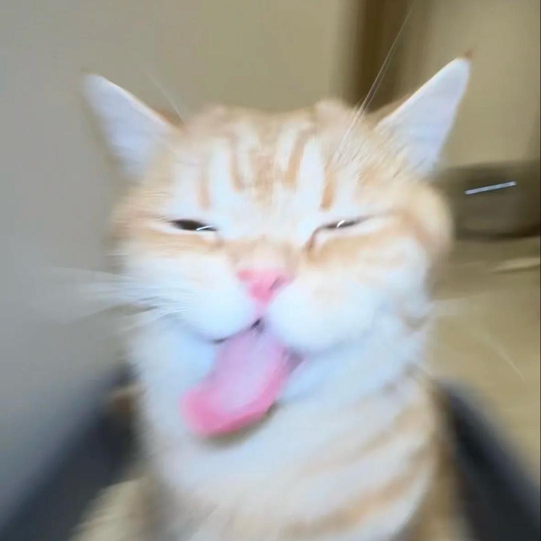 不讲不讲吃汤饭