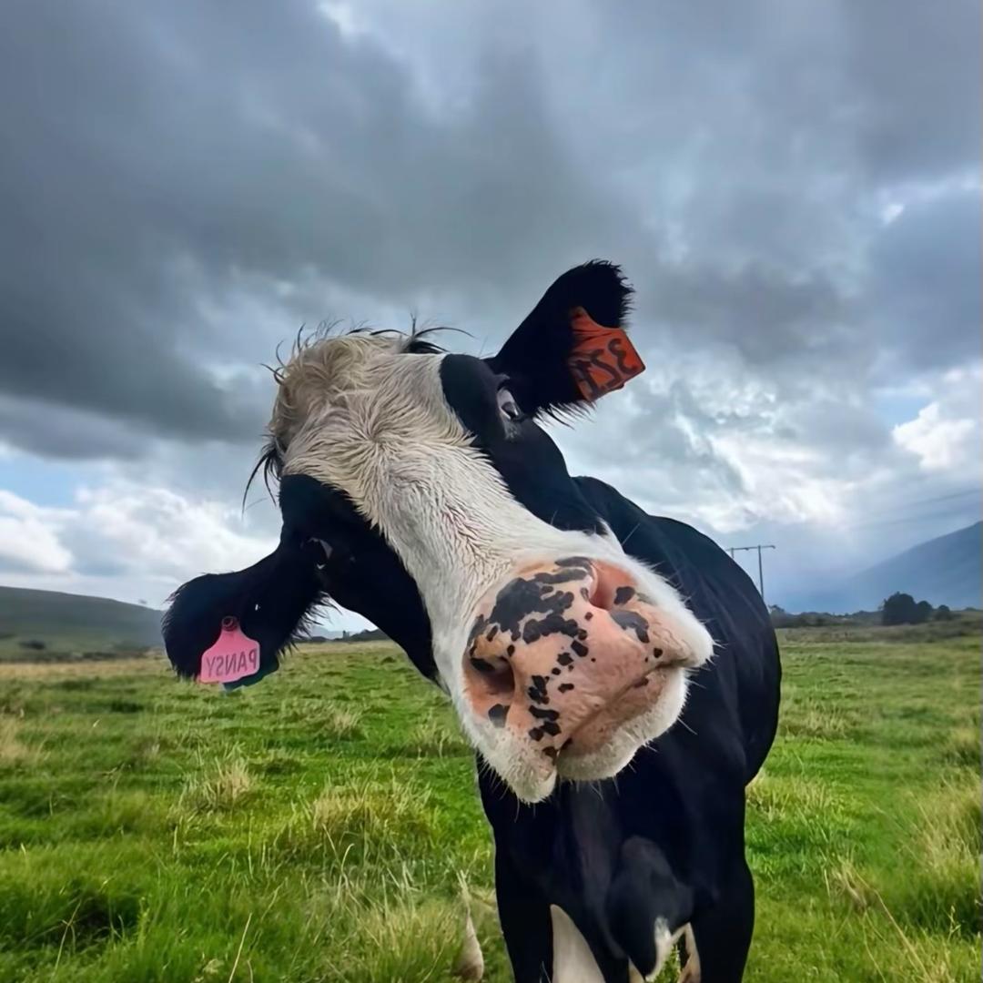 小刘要早睡早起