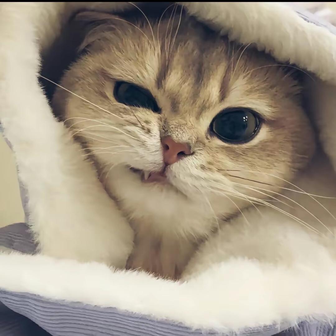 夕·余