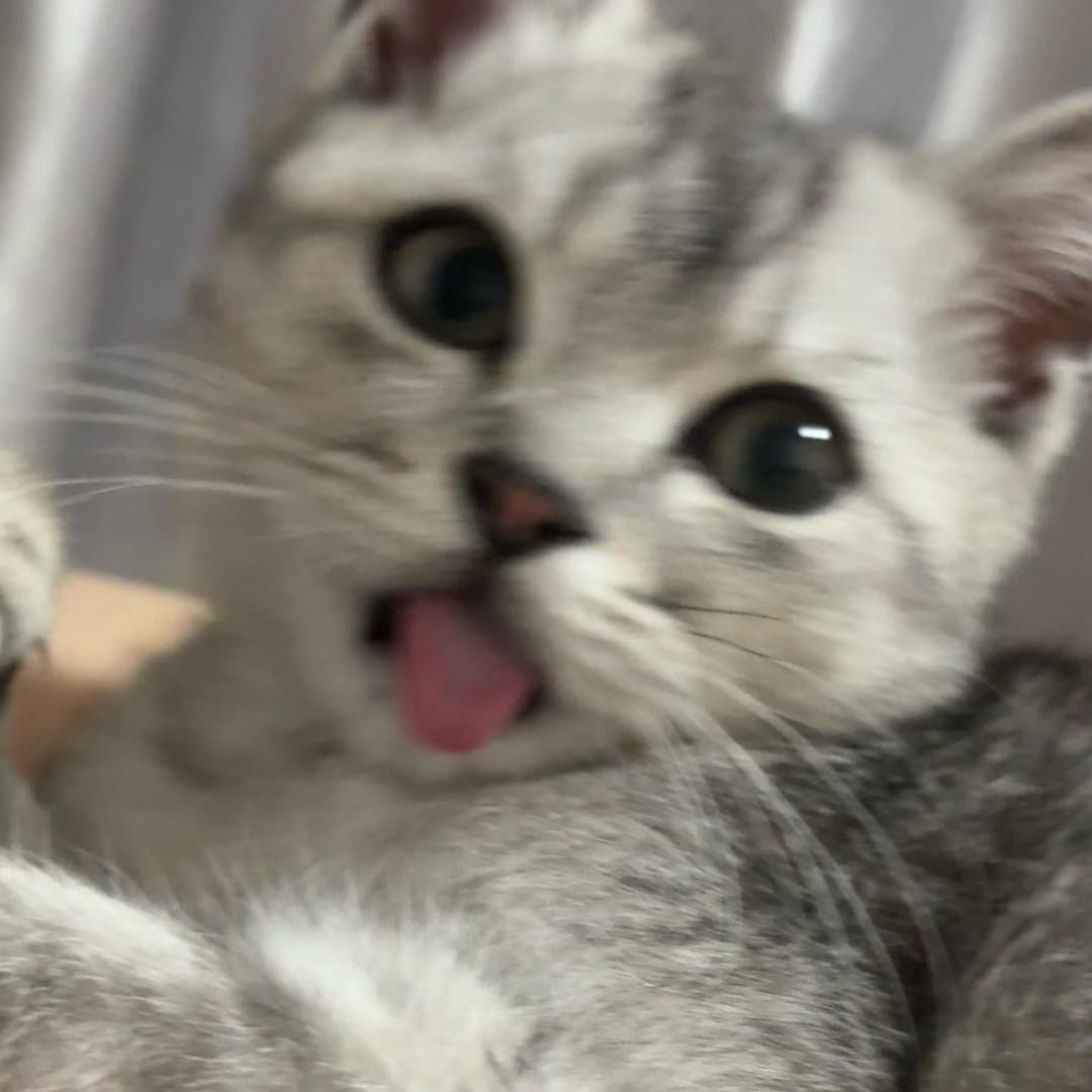 115