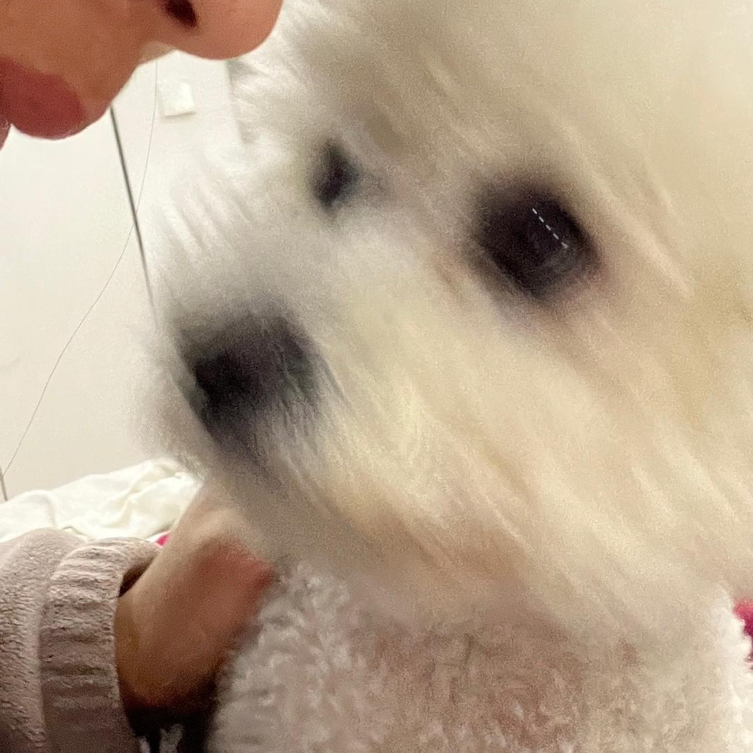 筠