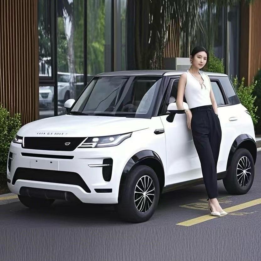 新能源工厂店丽丽