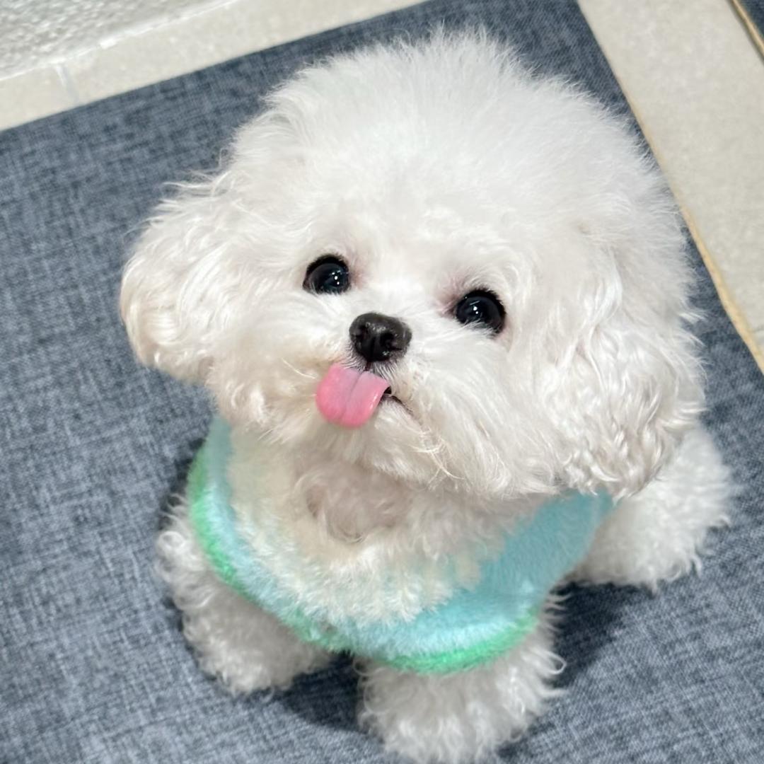 泡泡不咕咕༠° ୧⍤⃝