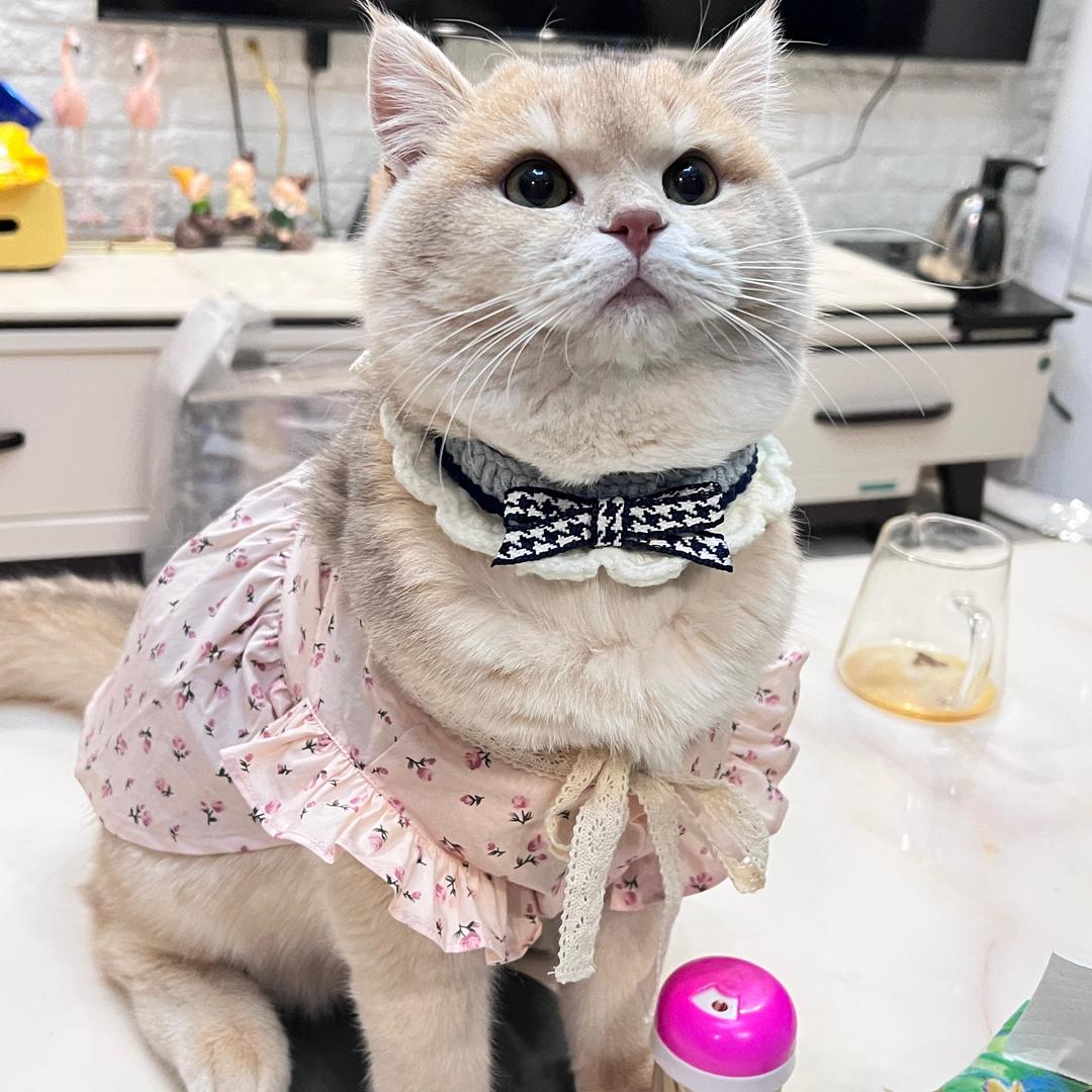 小太阳☀️☀️