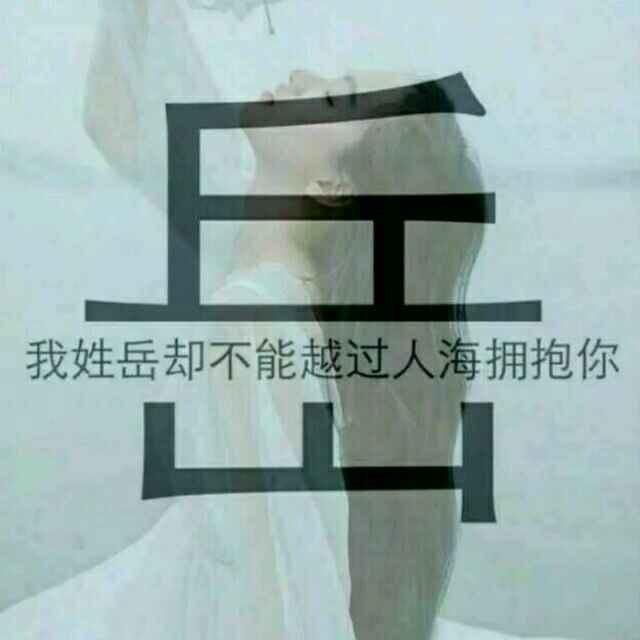 晟宏定制袋