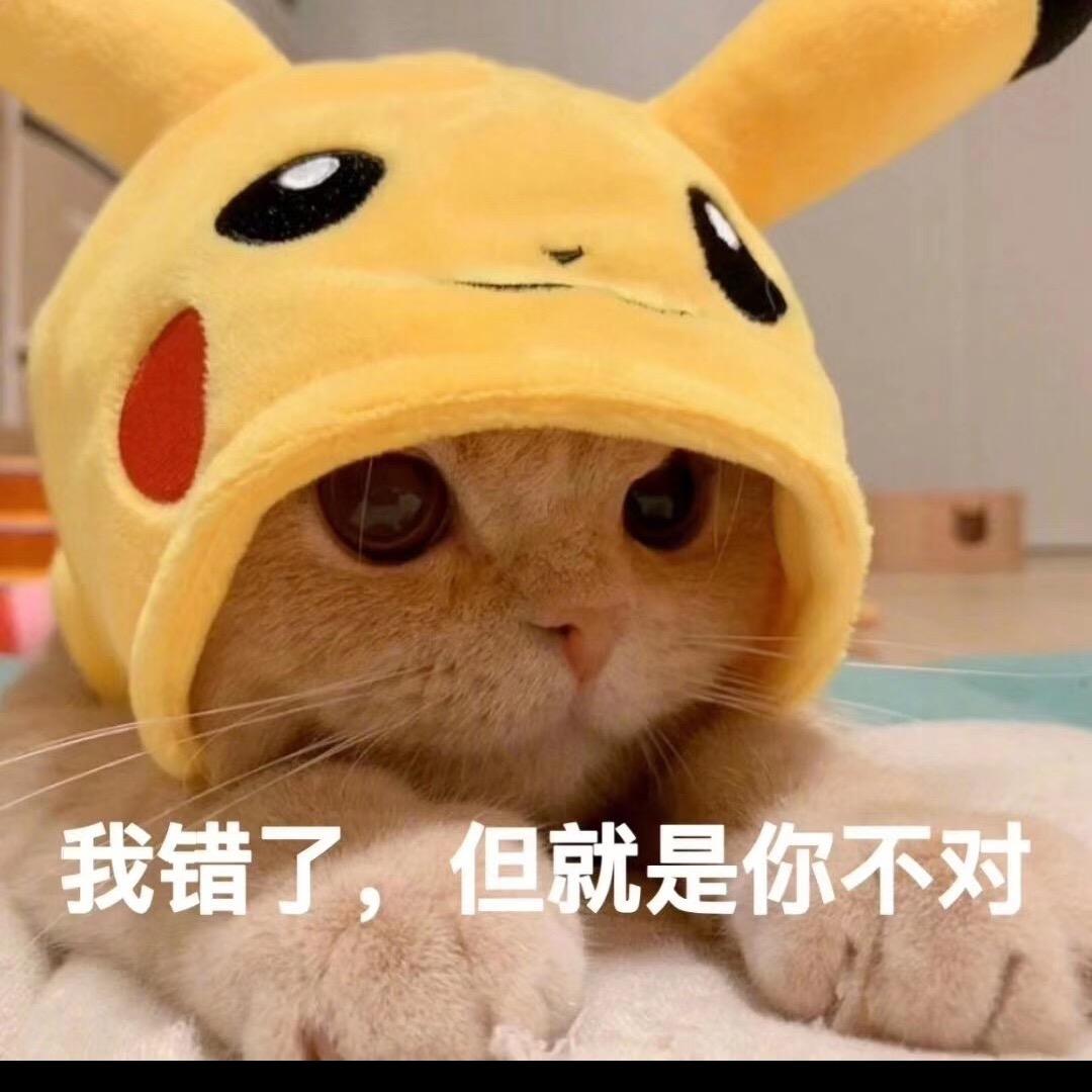 乐宝的每一天。