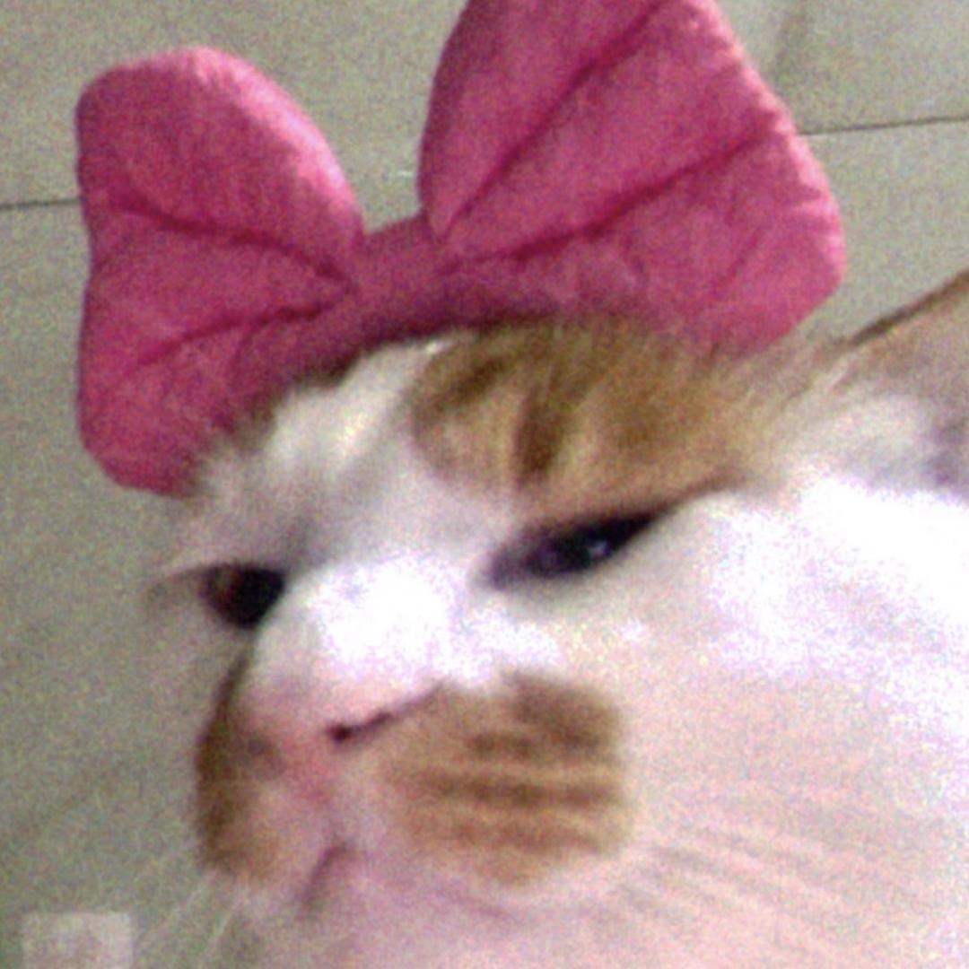 猛炫三碗饭