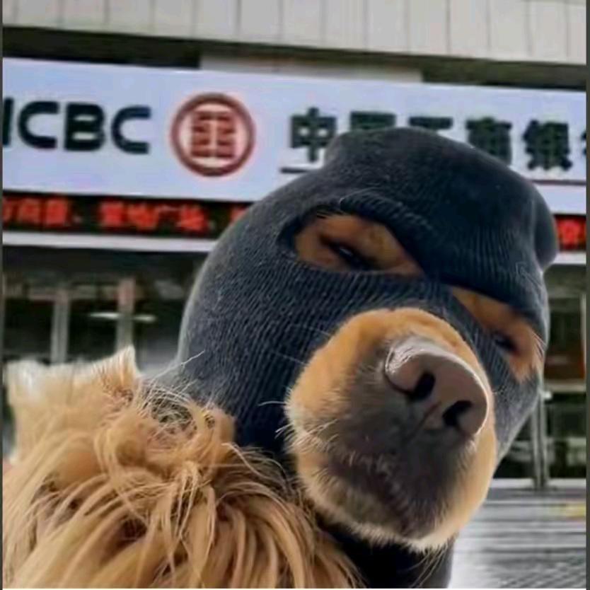 巧治泽王的陆菁头像