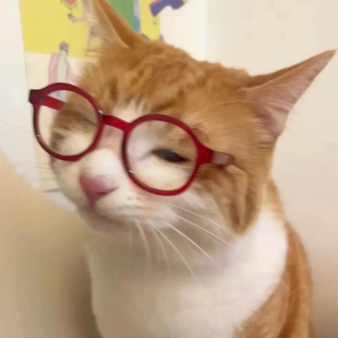 豆小果