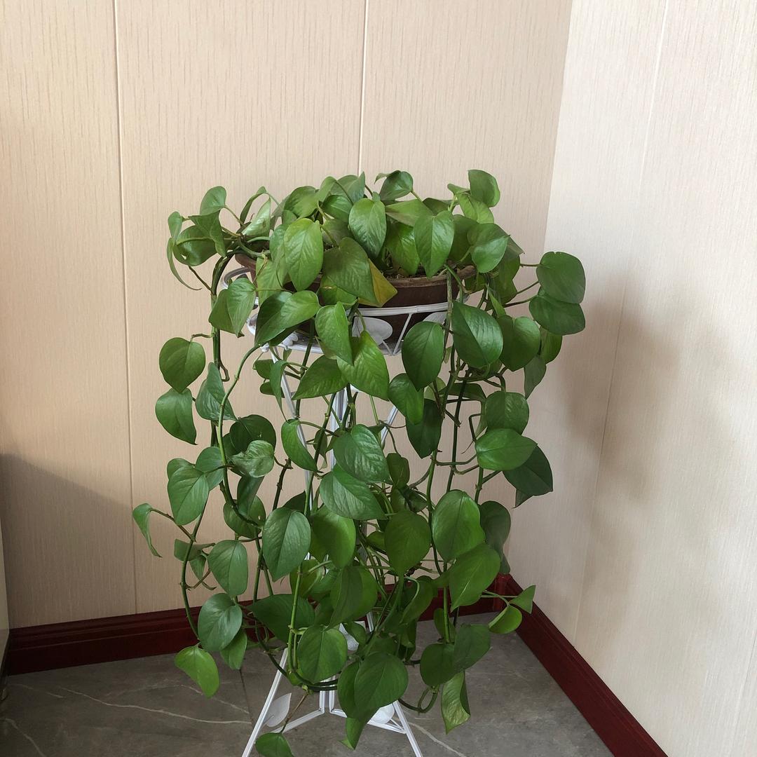 💋快乐🉐生活🐬耀