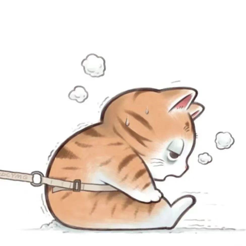 西伯利亚花果山社恐蕾丝性感大母猴