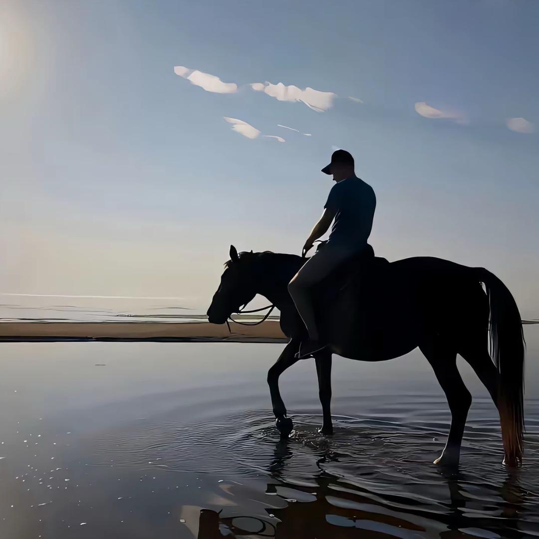 永不服输的男人