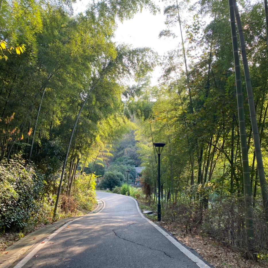 上山打老虎