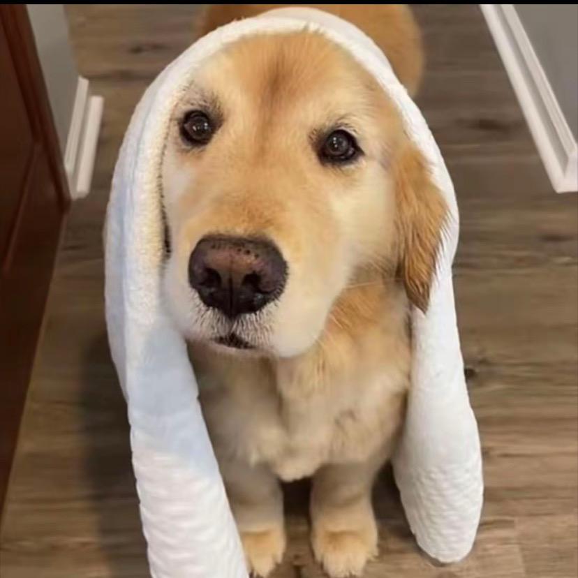 霸道老公强制爱