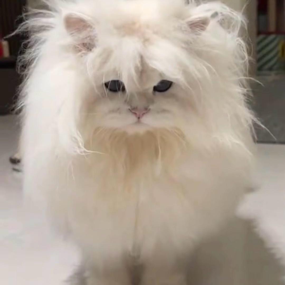 如果这都不算爱