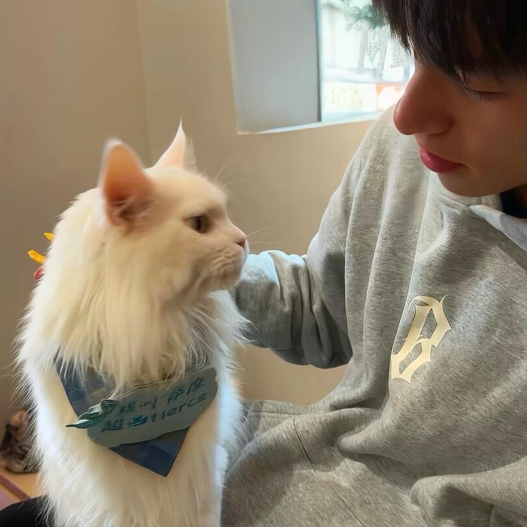 暖心直属99大帝