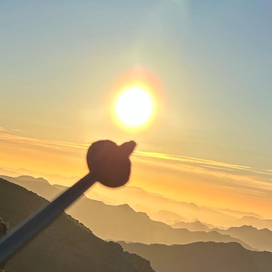 我就是想干啥就干啥